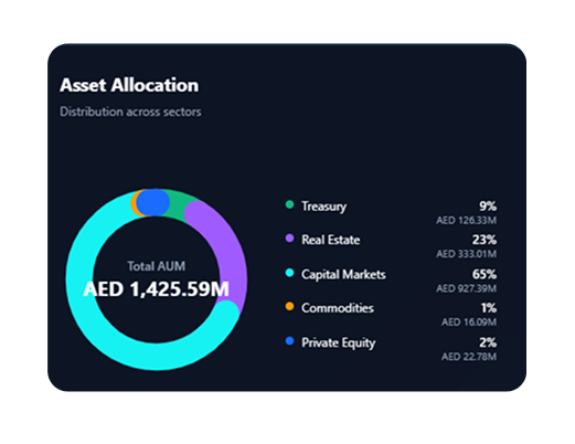 Asset allocation across treasury, real estate, capital markets, commodities, and private equity